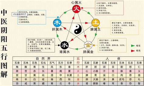 中醫五行歸類表|中医五行学说的概念及归类